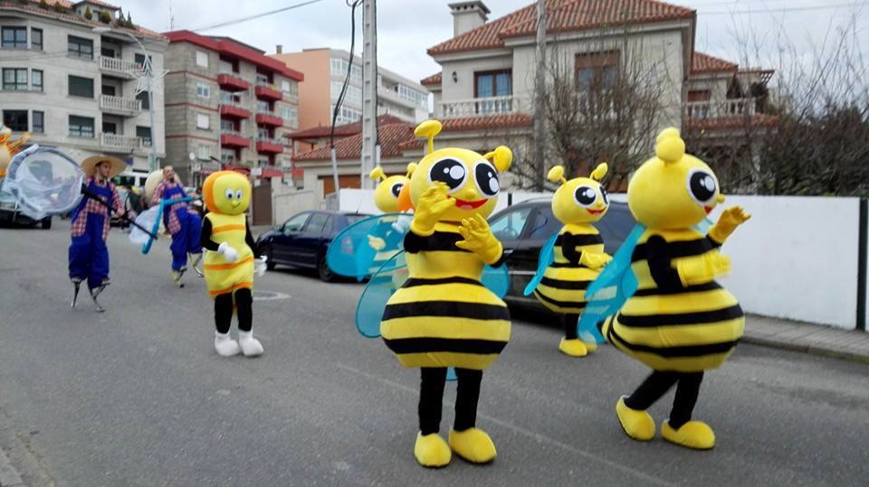 abellas tolas
